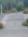 New Zealand; Kaikoura: (I loved this place!)x