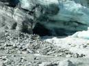 New Zealand; Fox Glacier;