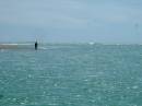 New Zealand; Waiatoto Jet Boat ride on the Waiatoto from the sea to the southern alps