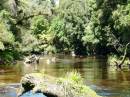 New Zealand; Waiatoto Jet Boat ride on the Waiatoto from the sea to the southern alps; Primeval jungle;