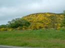 New Zealand; Meyers Passx