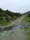 New Zealand; Meyers Pass;  Out back in New Zealand;