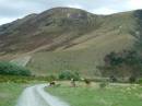 NewZealand; Lots of great country side;